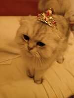 https://images.plurk.com/1wksBhuCxGs6yKvwWrnn0h.jpg