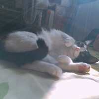 https://images.plurk.com/1wqok9UCHJn4nK1owZmBbv.jpg