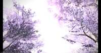https://images.plurk.com/1wrfJ417Lp0oCJ693YFwue.png