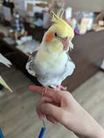 https://images.plurk.com/1wzh2SbXE5WD5KgYAiXDuN.jpg