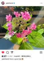 https://images.plurk.com/1x2PgXdb3somQ3uSV5LqkG.png