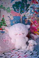 https://images.plurk.com/1x2VZ8HzqFxuQakwvntaqZ.jpg