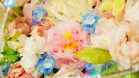 https://images.plurk.com/1xNDlCiLz3WQzql1FYH3a.jpg