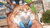 https://images.plurk.com/1xRVtwup5dI7xNPfTQjL0w.png