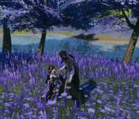 https://images.plurk.com/1xTmOnoECRWOlzp7NXrR4J.gif