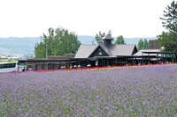 https://images.plurk.com/1xuXt3ZENp2PbT13rsgJQG.jpg