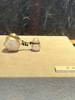 https://images.plurk.com/1xyKtxwjyzJbxCMK3ZTsRt.jpg