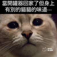 https://images.plurk.com/1y11b7MghNFWlvXhvoTlgt.jpg