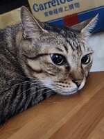 https://images.plurk.com/1y930TWDy8s3dBFegrlkqh.jpg
