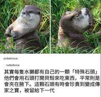 https://images.plurk.com/1yHyaYBBCrhQTRoLQr2bbW.jpg