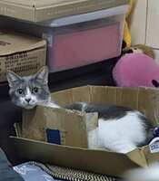 https://images.plurk.com/1yPfOLbiqsziapgRQAozZV.png