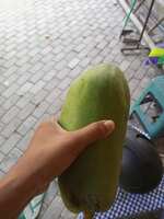 https://images.plurk.com/1yW7aBpmNFnpjFXwK2vLgW.jpg