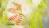https://images.plurk.com/1yXOFbmKDHFSqahTf35sPj.jpg