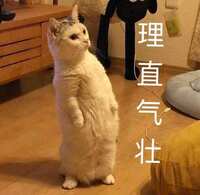 https://images.plurk.com/1yZHR2zmCI0gDMvGydjR4R.jpg