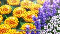https://images.plurk.com/1yd8VOJFv4v4Xl1aTQgI0R.jpg