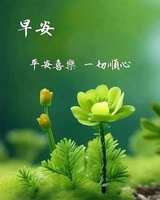 https://images.plurk.com/1yhutXeeqO1NMY2OjiyOR8.jpg