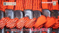 https://images.plurk.com/1ywpcfW3kR1KqN1NQWCzHi.jpg
