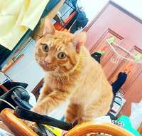 https://images.plurk.com/1ywxJ3wtMfgcLcq9V9efvY.jpg