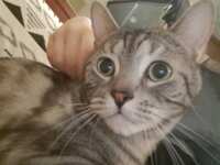 https://images.plurk.com/1yz6yVsIcWIEbIAewQ9GWv.png