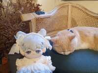 https://images.plurk.com/1z0IgeMukKf4h6SnT7gVkz.jpg