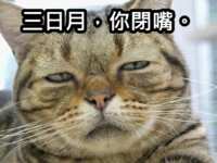 https://images.plurk.com/1z2T2S0YOOEMDpxuxIaEMT.png