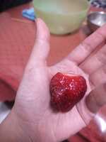 https://images.plurk.com/1z2bEePfaGW2luJT8uI65C.jpg