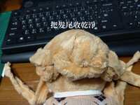 https://images.plurk.com/1z3o4Z5id0JfqdNjz2Mu9b.jpg