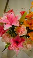 https://images.plurk.com/1z5W0g9bQAWhDfjlXpVg7m.jpg