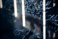 https://images.plurk.com/1zEGFroGvERZRR5rslD8fX.jpg