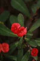 https://images.plurk.com/1zHgev3jpqgCAuZ039MGMp.jpg