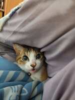 https://images.plurk.com/1zRhiMCajlrvdz33fcVcO0.jpg