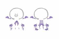 https://images.plurk.com/1zisYPjtKEEnSHIC8mGYD0.jpg
