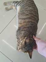 https://images.plurk.com/1zza0SIOr2r2LCu3T6ytos.jpg