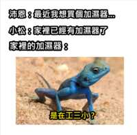 https://images.plurk.com/202UELb39Pg2MeMGWzLfs5.png