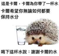 https://images.plurk.com/202wiz4RPlhbqGfNrehCuj.png