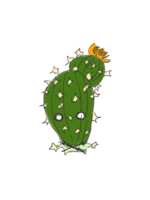 https://images.plurk.com/20DJYcMOGImA7ymA8nBW7h.png