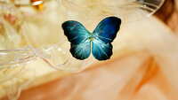 https://images.plurk.com/20PioIapsAmryWjKCsny6X.jpg