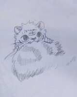 https://images.plurk.com/20QJR6y816PXhDcUieDjdo.jpg
