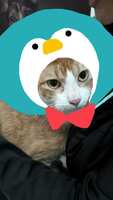 https://images.plurk.com/20VkoG0IOUmwUEGeHM4oMN.jpg