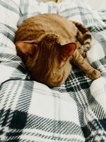 https://images.plurk.com/20W3gSDmnCREq0GBQCs5Cv.jpg