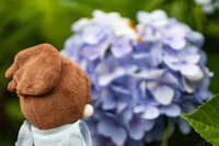 https://images.plurk.com/20WhvjZ9g6MmUZ4YBvJqbd.jpg