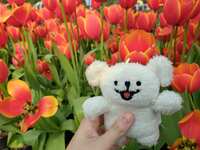 https://images.plurk.com/20Z31EkNXF6q6blBsndlJR.jpg