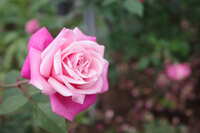 https://images.plurk.com/20flUPox5lNYvu1b3zI29.jpg