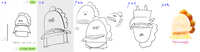 https://images.plurk.com/20gqcV7Efmq1SBdz2XcBgl.jpg