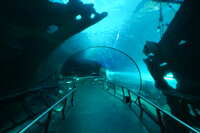 https://images.plurk.com/20h2a9JjgsdUACoQb3LgCF.jpg