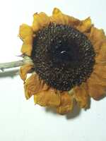 https://images.plurk.com/20sgM7gdWrkIEgwCZTiCMD.jpg
