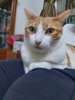 https://images.plurk.com/20sx6FrFgdVA38IuVHf8BR.jpg