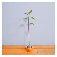 https://images.plurk.com/20wI0kuNiBHA3SjxAuGWRM.jpg