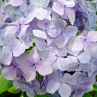 https://images.plurk.com/20zhUizBUGpZuo152AwxWr.jpg