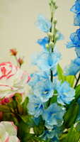 https://images.plurk.com/213AmMdreWdZdr3NijP8Te.jpg